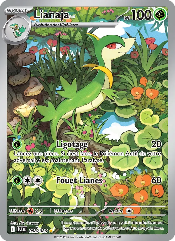 Carte Pokémon Lianaja de l'extension Foudre Noire