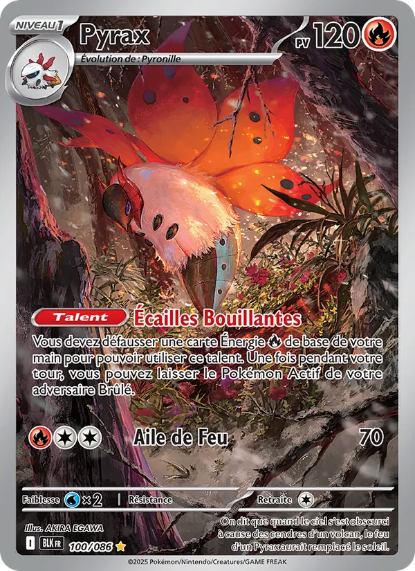 Carte Pokémon Pyrax de l'extension Foudre Noire