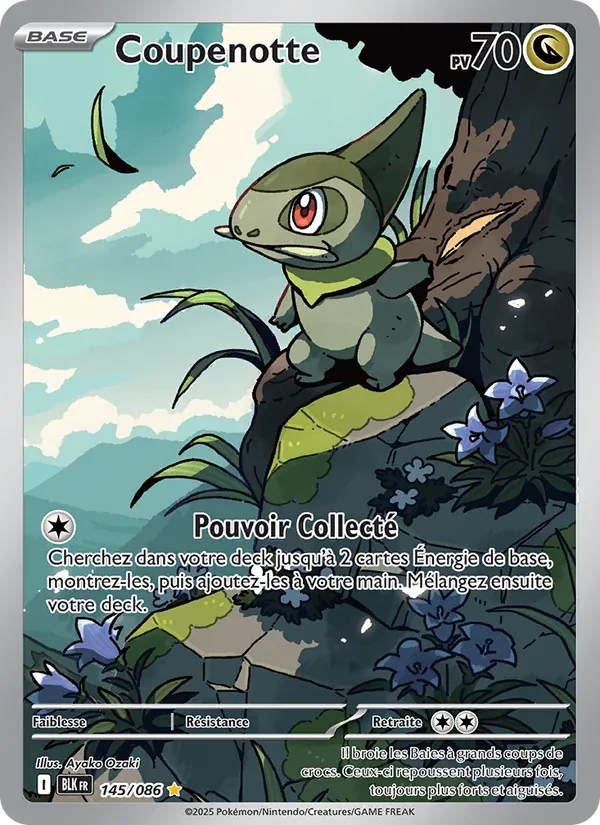 Carte Pokémon Coupenotte de l'extension Foudre Noire