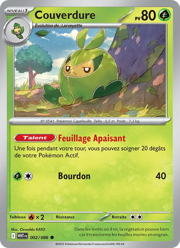 Carte Pokémon Couverdure de l'extension Flamme Blanche