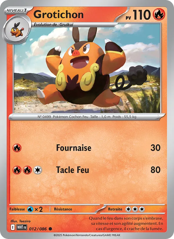 Carte Pokémon Grotichon de l'extension Flamme Blanche