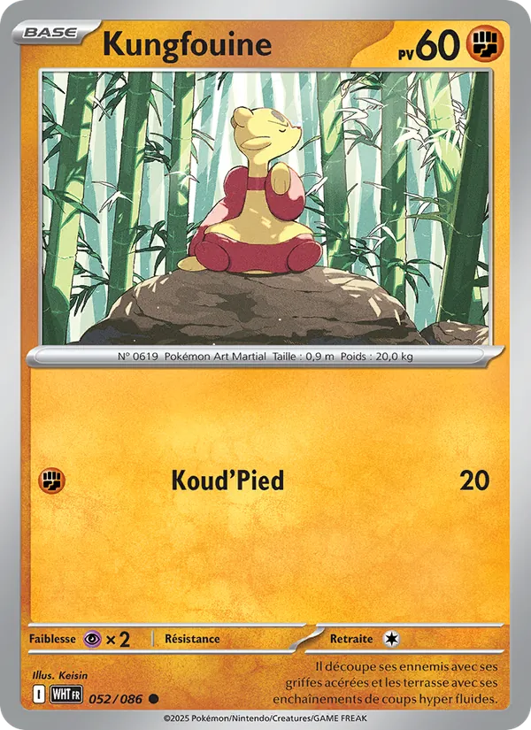 Carte Pokémon Kungfouine de l'extension Flamme Blanche