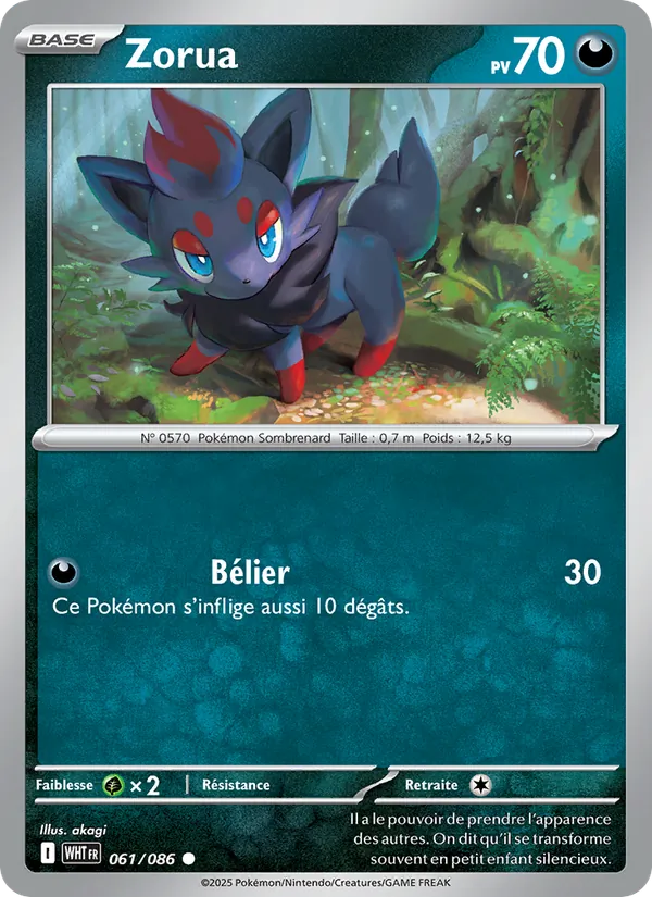 Carte Pokémon Zorua de l'extension Flamme Blanche
