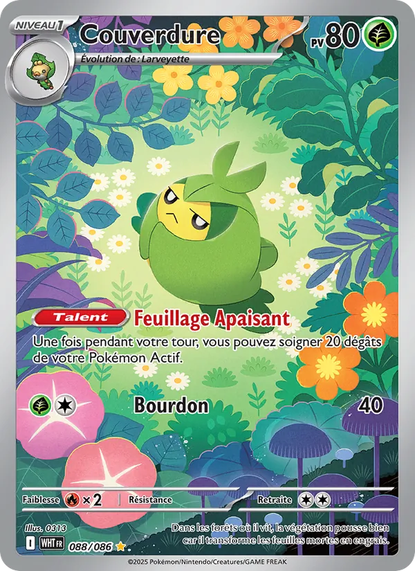 Carte Pokémon Couverdure de l'extension Flamme Blanche