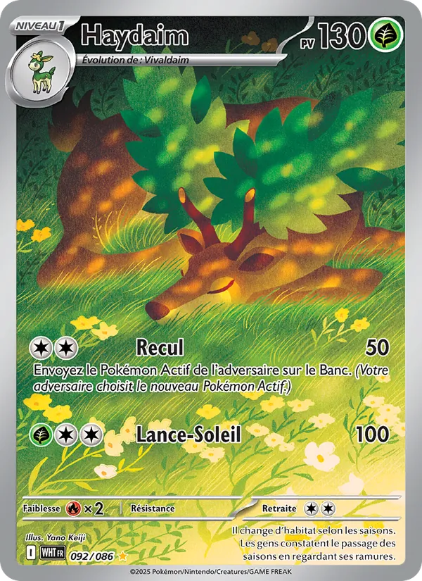 Carte Pokémon Haydaim de l'extension Flamme Blanche