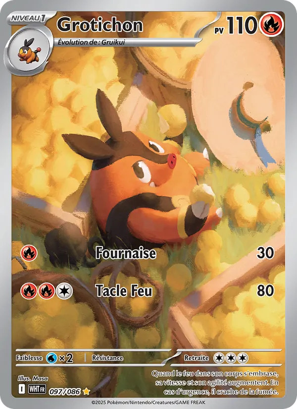 Carte Pokémon Grotichon de l'extension Flamme Blanche