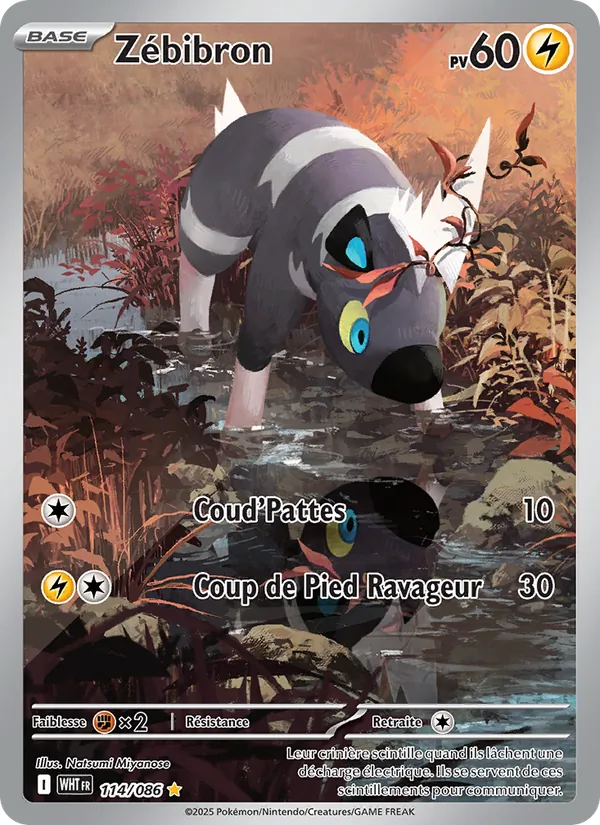 Carte Pokémon Zébibron de l'extension Flamme Blanche