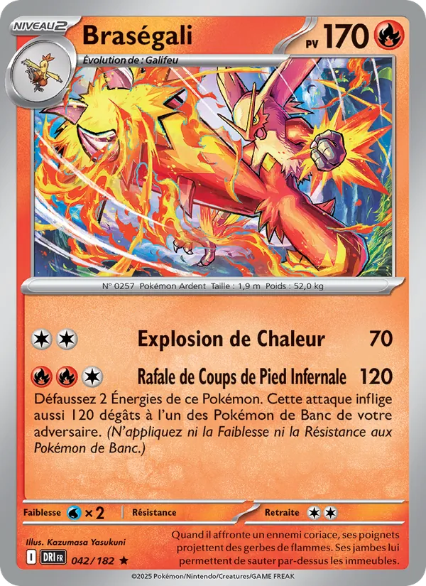 Carte Pokémon Braségali de l'extension Rivalités Destinées