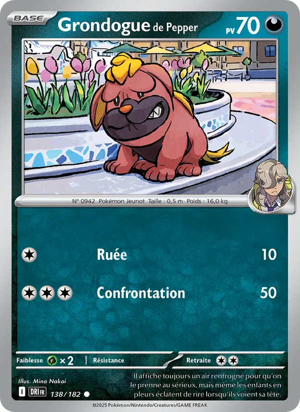 Carte Pokémon Grondogue de Pepper de l'extension Rivalités Destinées