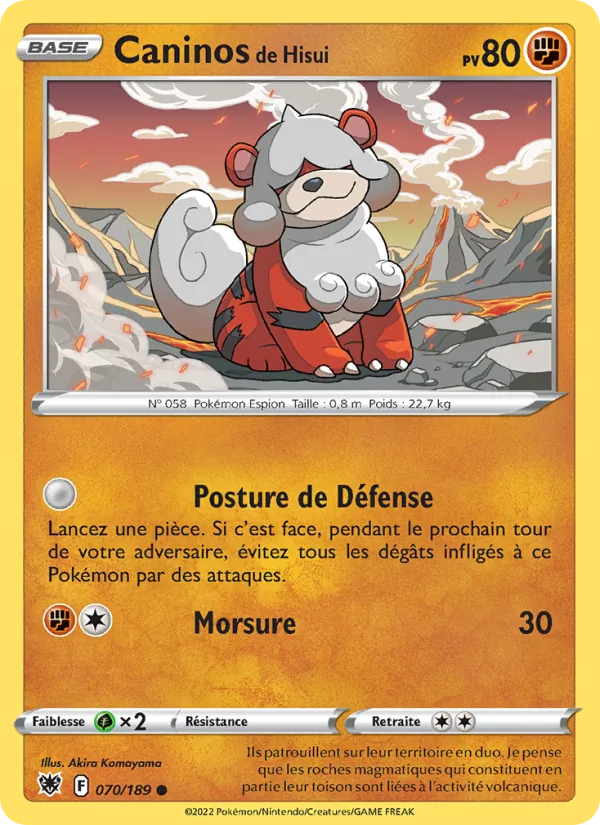 Carte Pokémon Caninos de Hisui de l'extension Astres Radieux