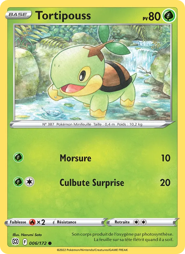 Carte Pokémon Tortipouss de l'extension Stars Étincelantes