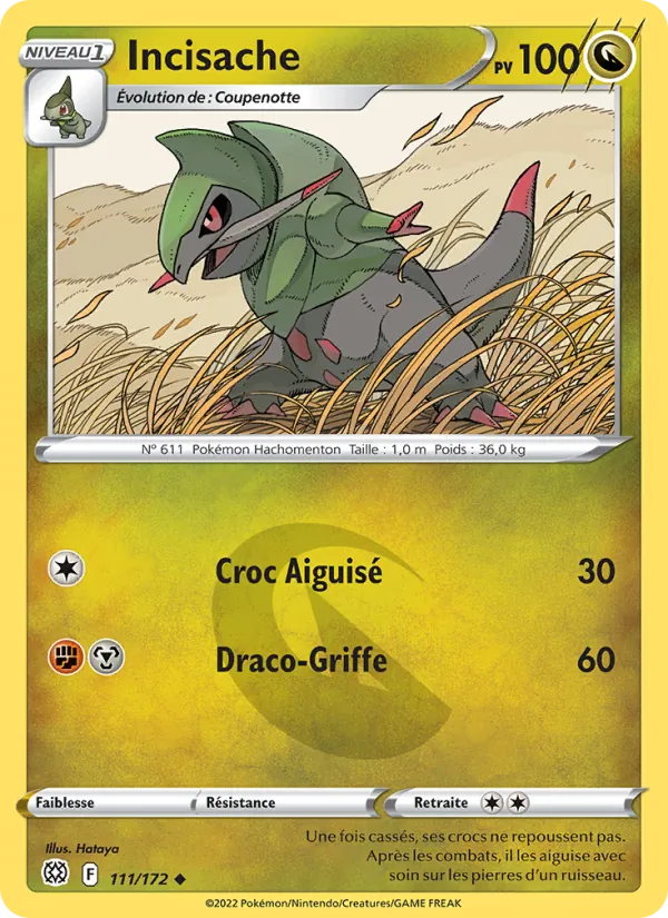 Carte Pokémon Incisache de l'extension Stars Étincelantes