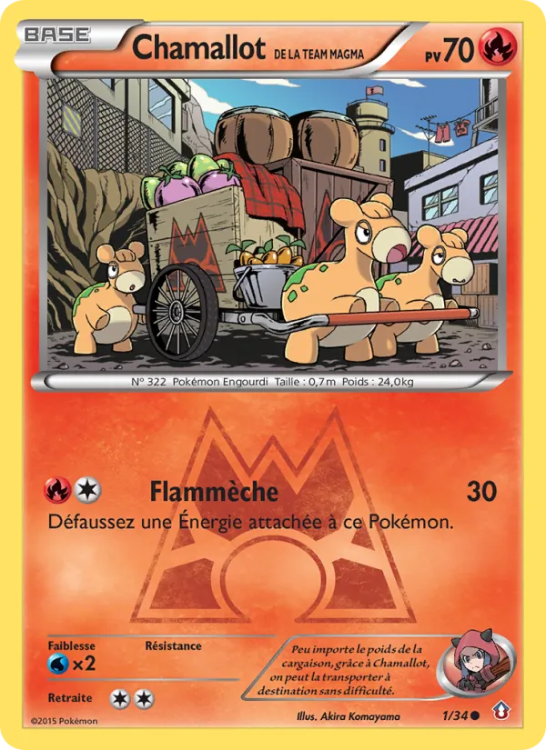 Carte Pokémon Chamallot de la Team Magma de l'extension Double Danger