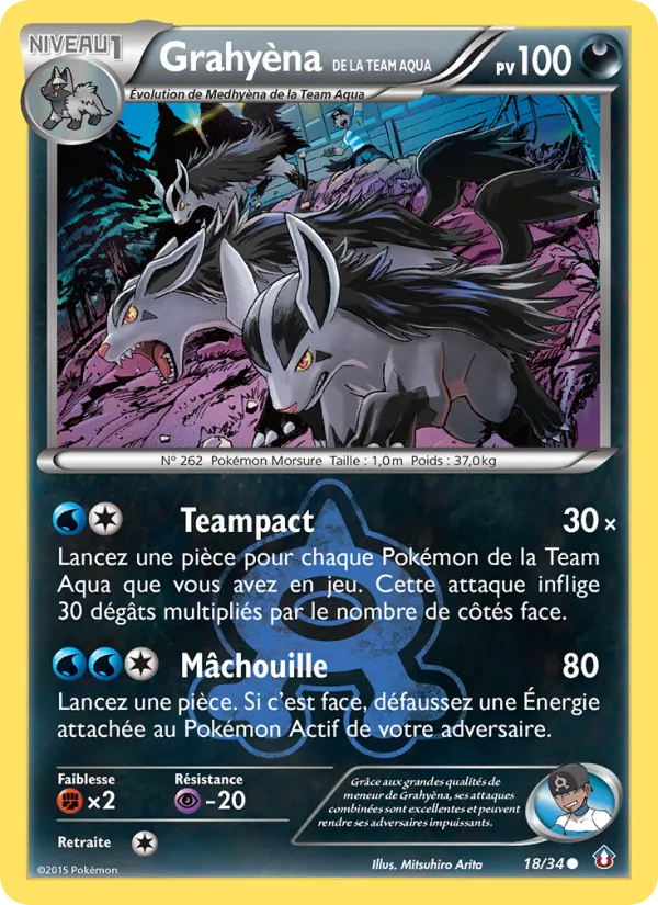 Carte Pokémon Grahyèna de la Team Aqua de l'extension Double Danger