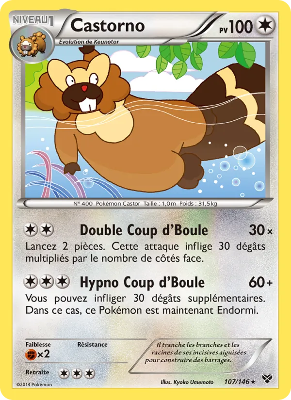 Carte Pokémon Castorno de l'extension XY