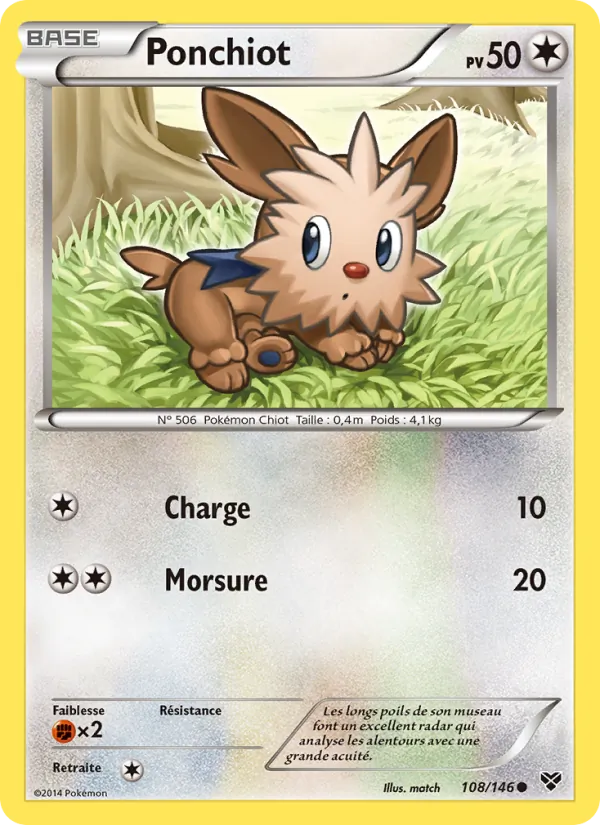 Carte Pokémon Ponchiot de l'extension XY
