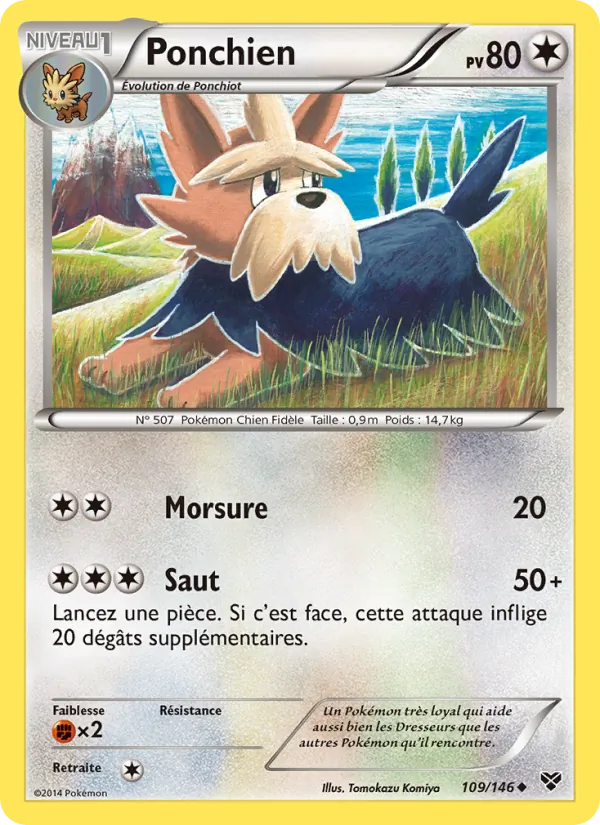 Carte Pokémon Ponchien de l'extension XY