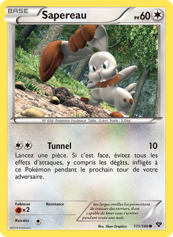 Carte Pokémon Sapereau de l'extension XY