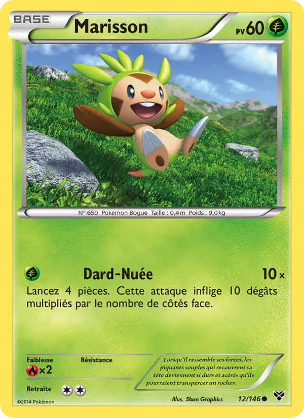 Carte Pokémon Marisson de l'extension XY
