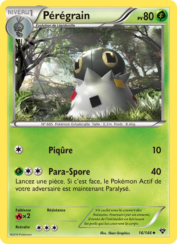 Carte Pokémon Pérégrain de l'extension XY