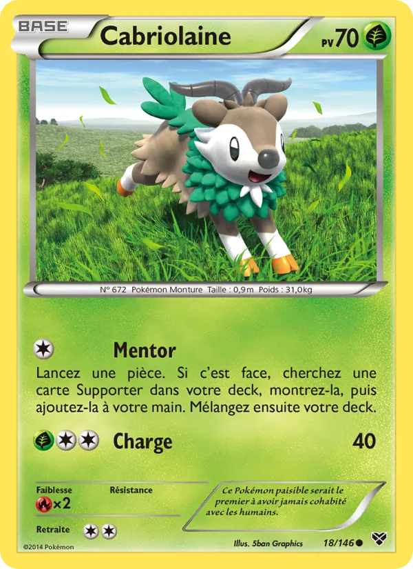Carte Pokémon Cabriolaine de l'extension XY