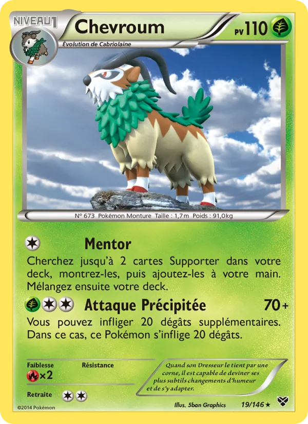 Carte Pokémon Chevroum de l'extension XY