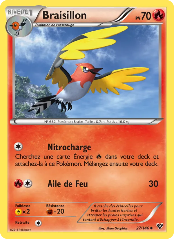 Carte Pokémon Braisillon de l'extension XY