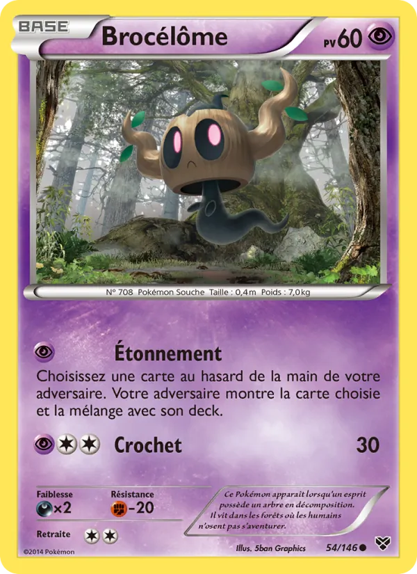 Carte Pokémon Brocélôme de l'extension XY