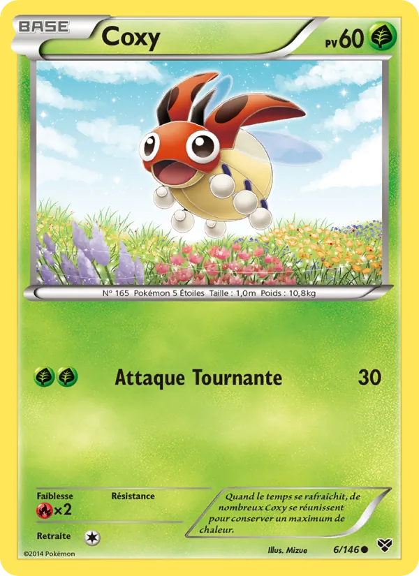 Carte Pokémon Coxy de l'extension XY