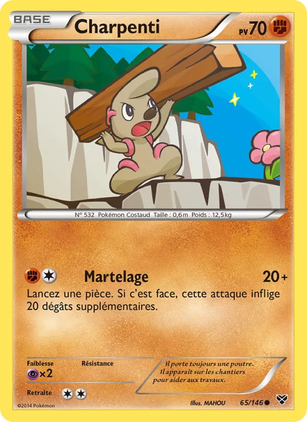 Carte Pokémon Charpenti de l'extension XY
