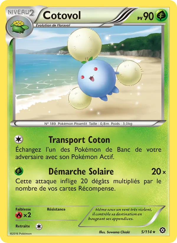 Carte Pokémon Cotovol de l'extension Offensive Vapeur