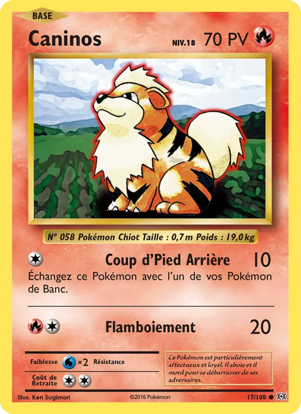 Carte Pokémon Caninos de l'extension Évolutions