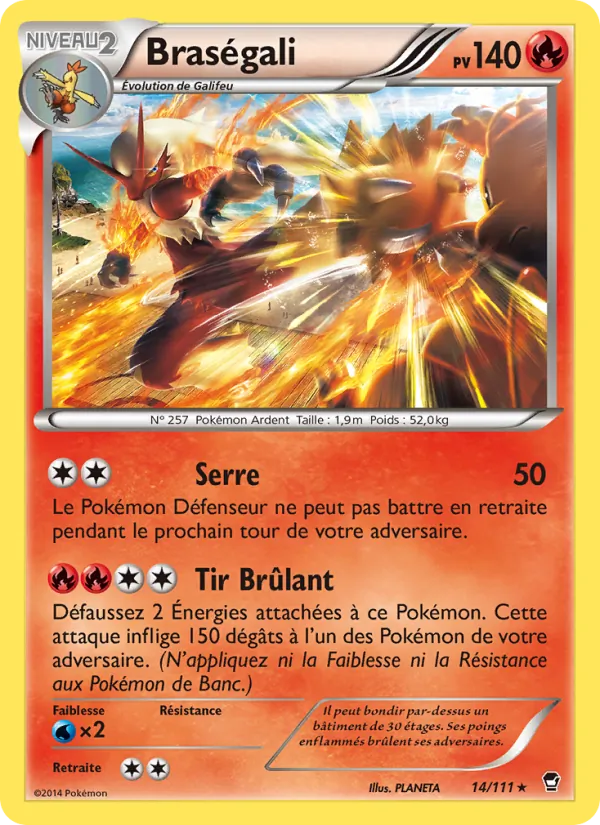 Carte Pokémon Braségali de l'extension Poings Furieux