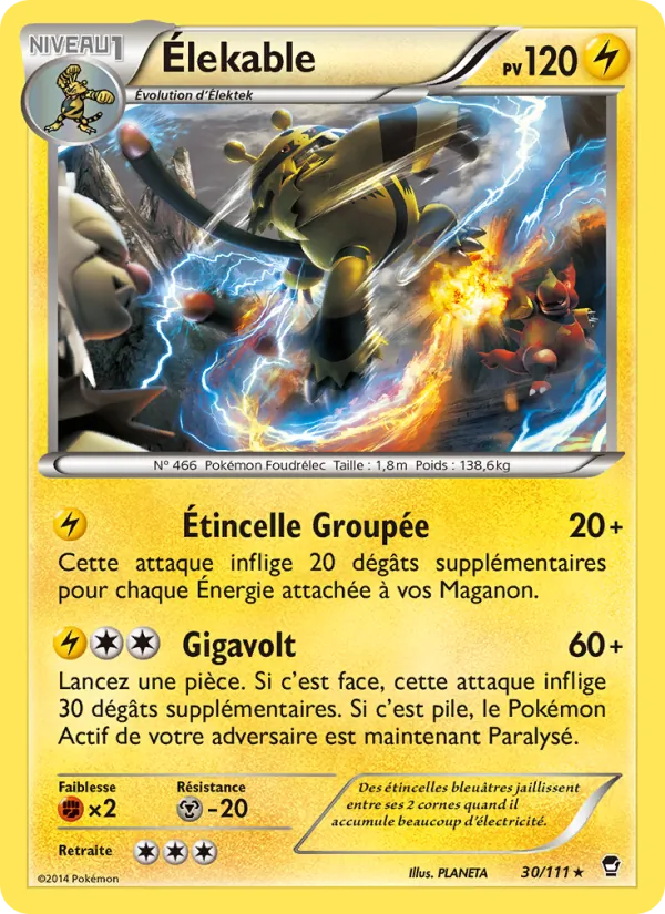 Carte Pokémon Élekable de l'extension Poings Furieux