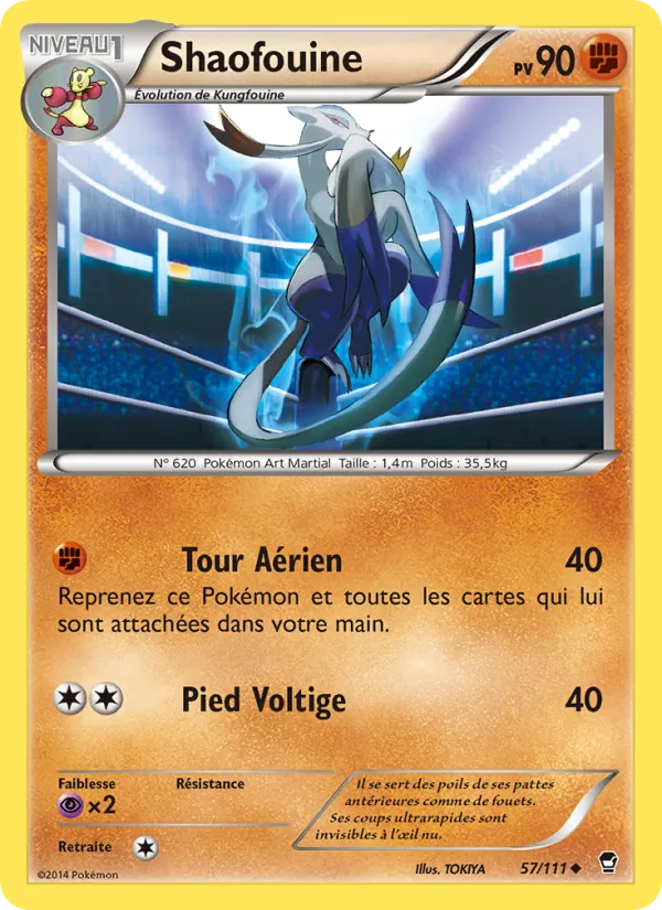 Carte Pokémon Shaofouine de l'extension Poings Furieux