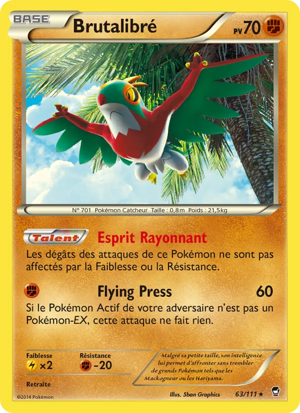 Carte Pokémon Brutalibré de l'extension Poings Furieux