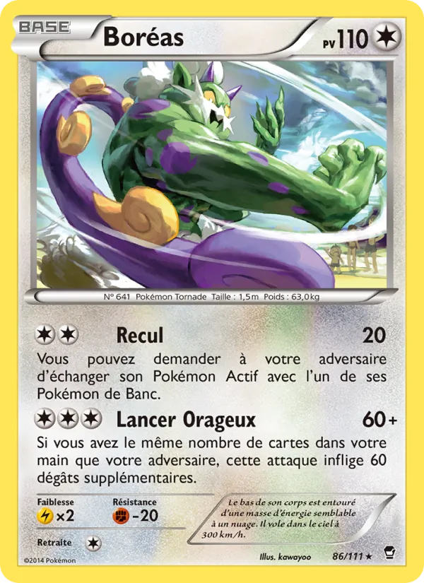 Carte Pokémon Boréas de l'extension Poings Furieux