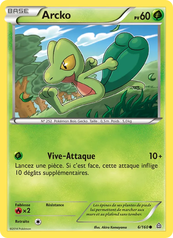 Carte Pokémon Arcko de l'extension Primo-Choc