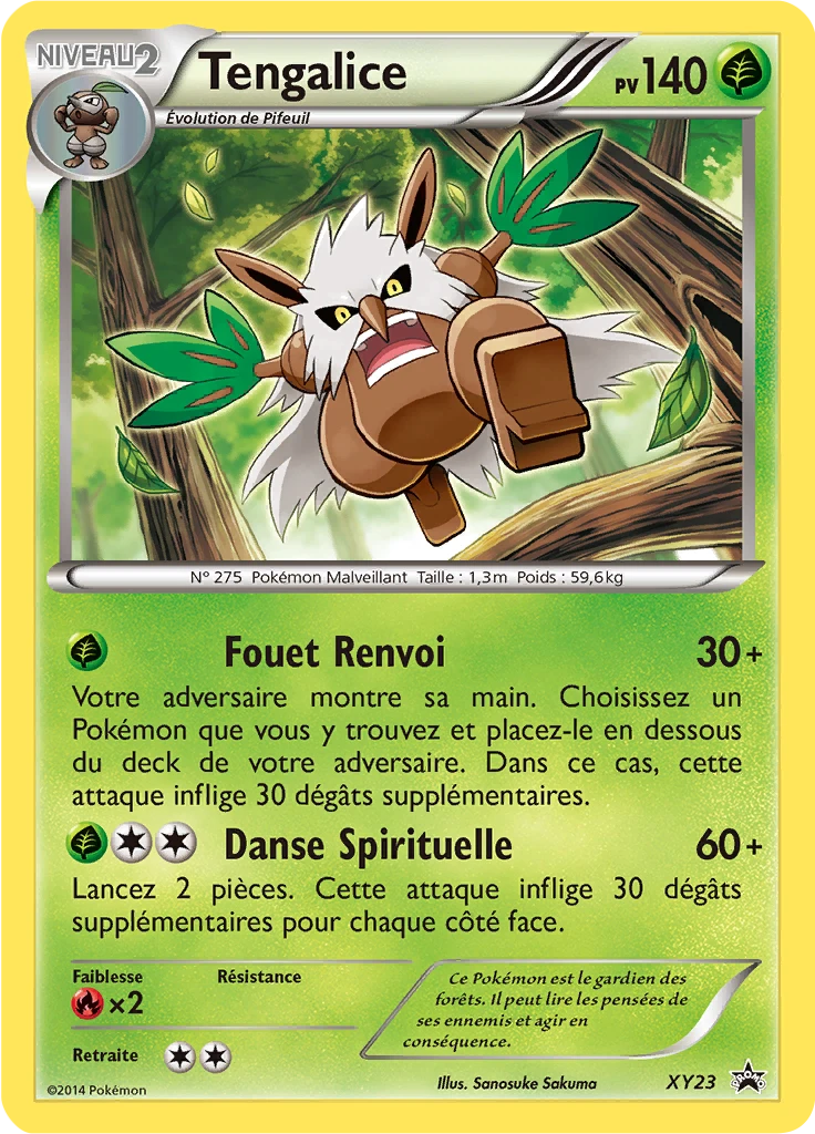 Carte Pokémon Tengalice de l'extension Promo XY