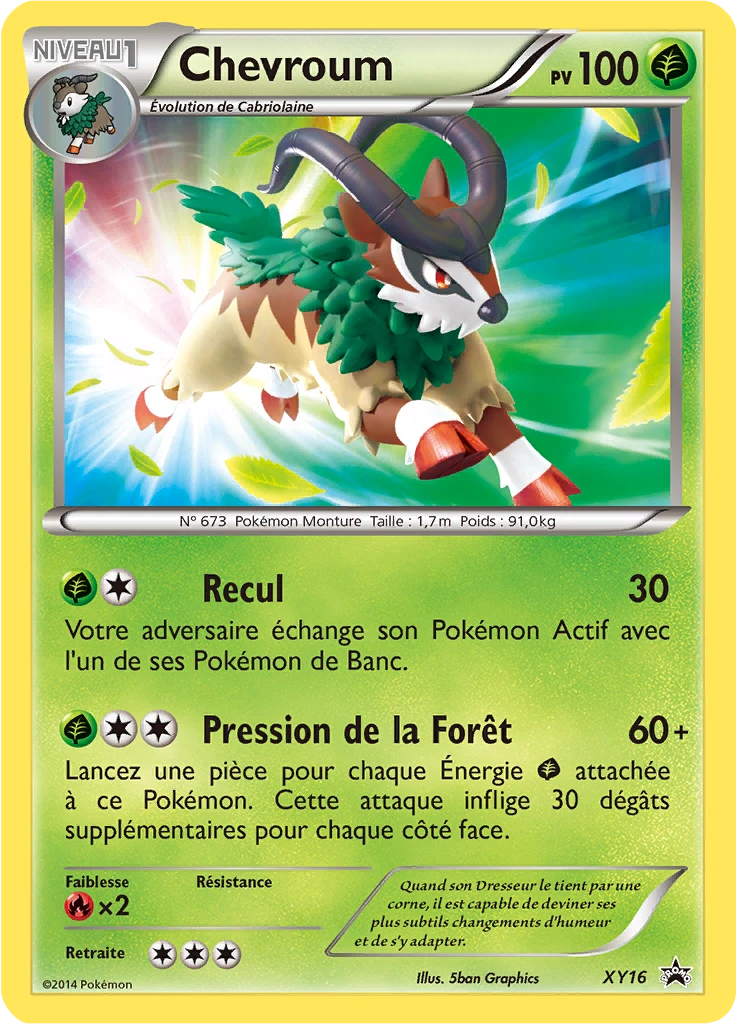 Carte Pokémon Chevroum de l'extension Promo XY