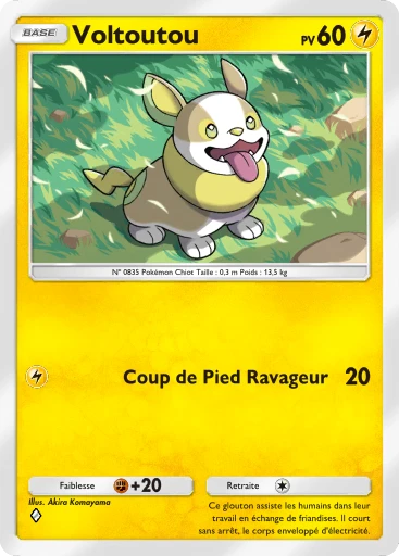Carte Pokémon Voltoutou de l'extension Source Secrète