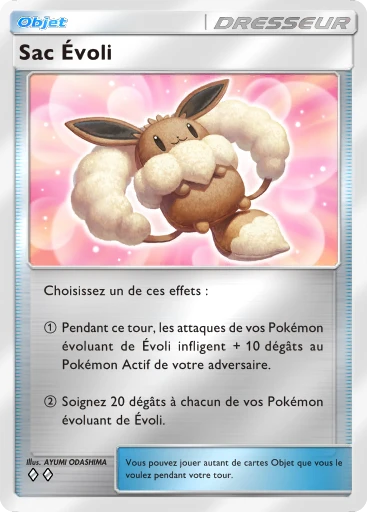 Carte Pokémon Sac Évoli de l'extension Booster de Luxe ex