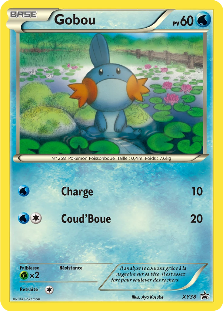 Carte Pokémon Gobou de l'extension Promo XY