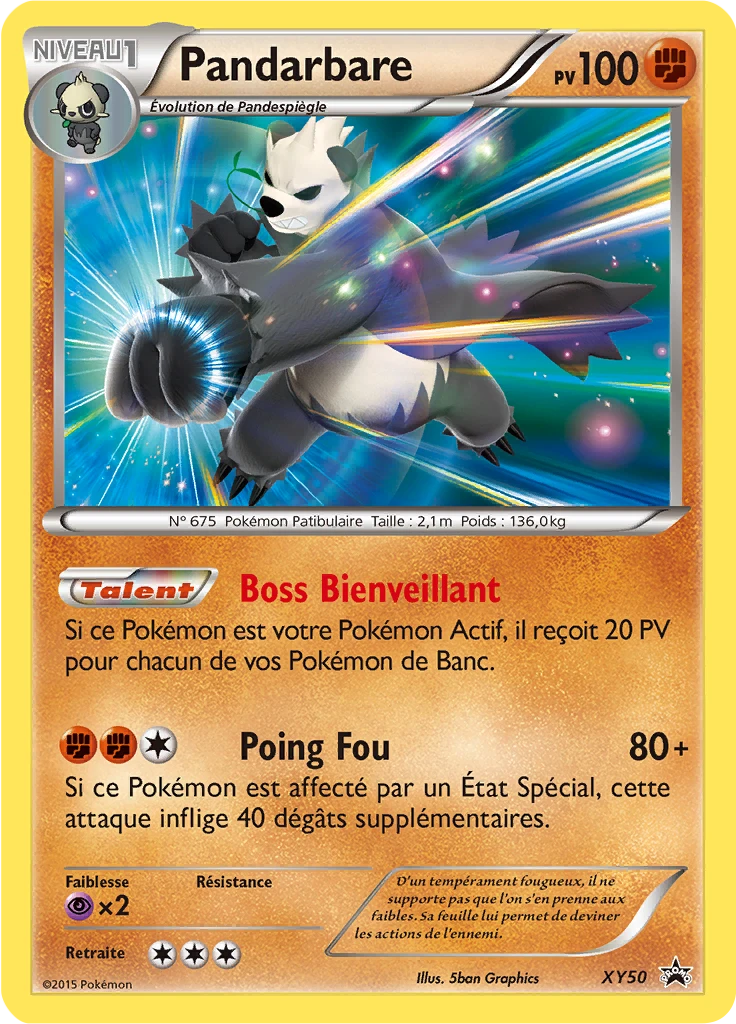 Carte Pokémon Pandarbare de l'extension Promo XY