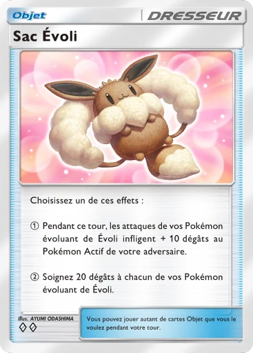 Carte Pokémon Sac Évoli de l'extension La Clairière d'Évoli