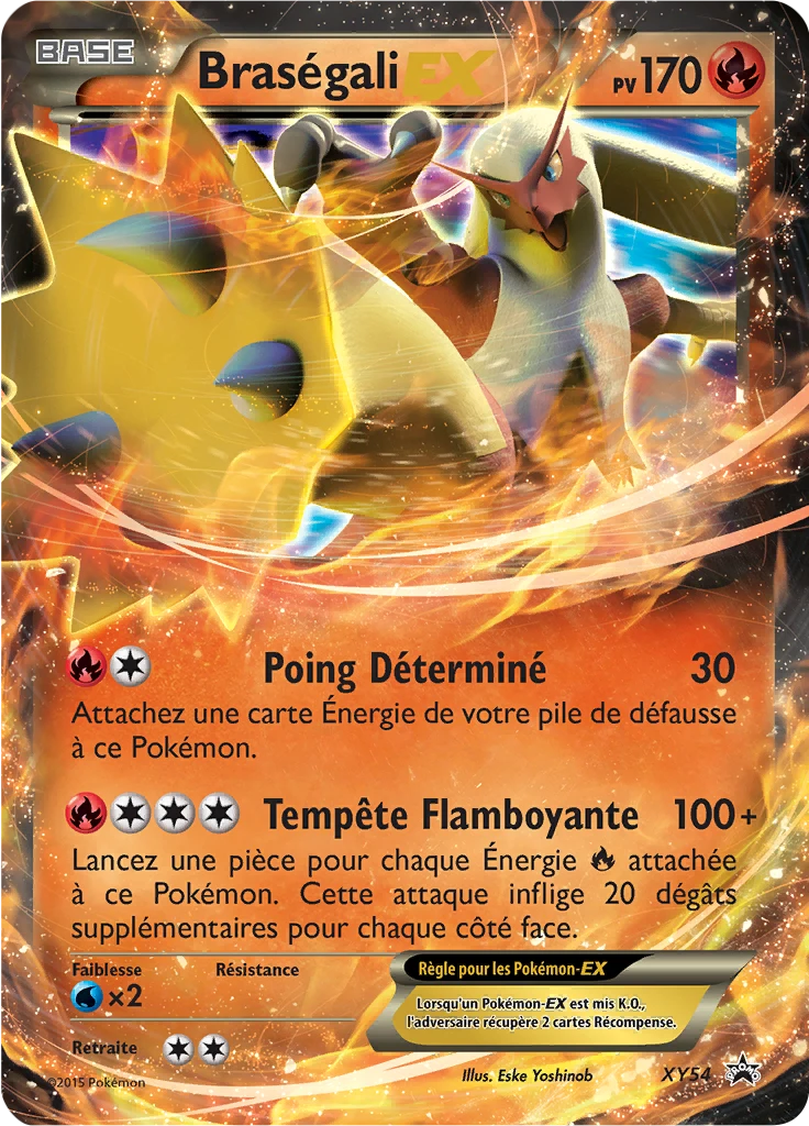 Carte Pokémon Braségali EX de l'extension Promo XY