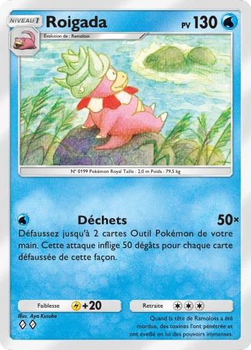 Carte Pokémon Roigada de l'extension Source Secrète