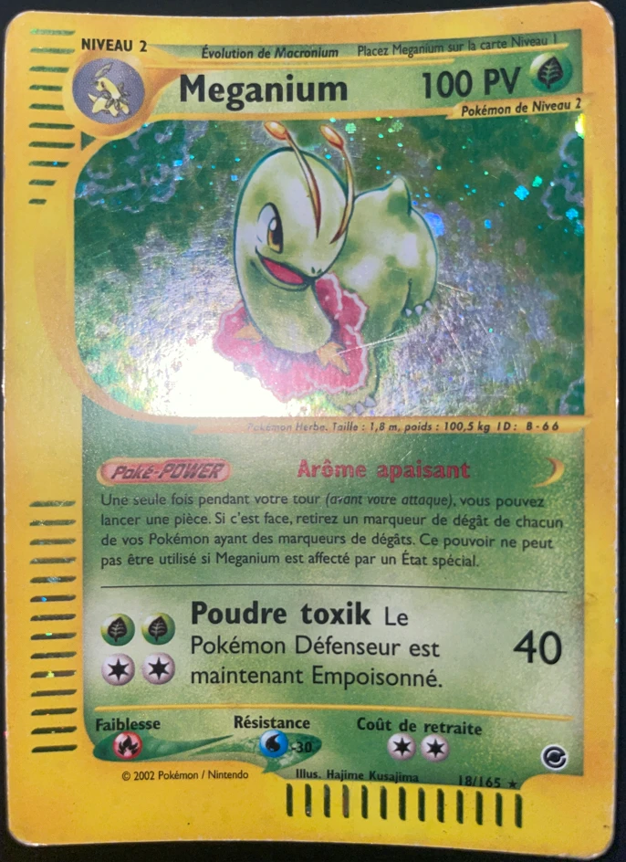 Carte Pokémon Méganium de l'extension Expedition
