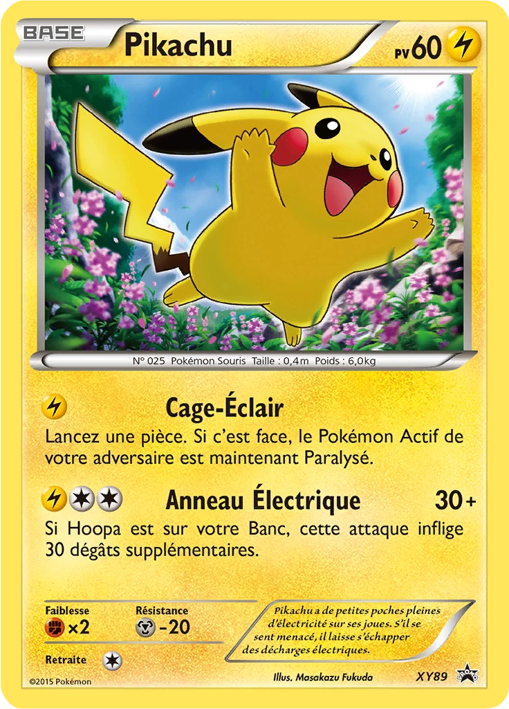 Carte Pokémon Pikachu de l'extension Promo XY
