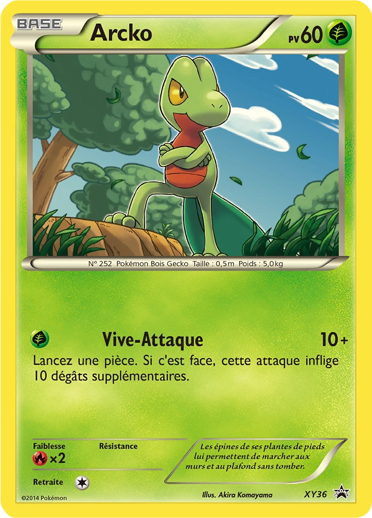 Carte Pokémon Arcko de l'extension Promo XY